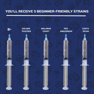 Winter Savings Pack (12 Spore Syringes)